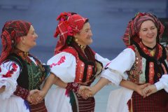 IMG_7906-min-scaled
