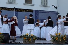 IMG_7932-min-scaled